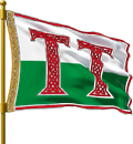 TocynTicket logo